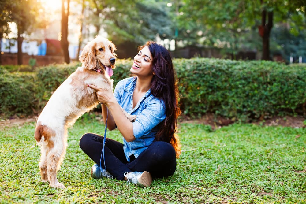 Dog Park Etiquette: 4 Must-Know Commands | Great Pet Care