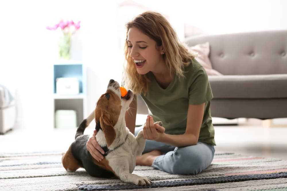 9 Simple Ways to Bond With Your Dog at Home