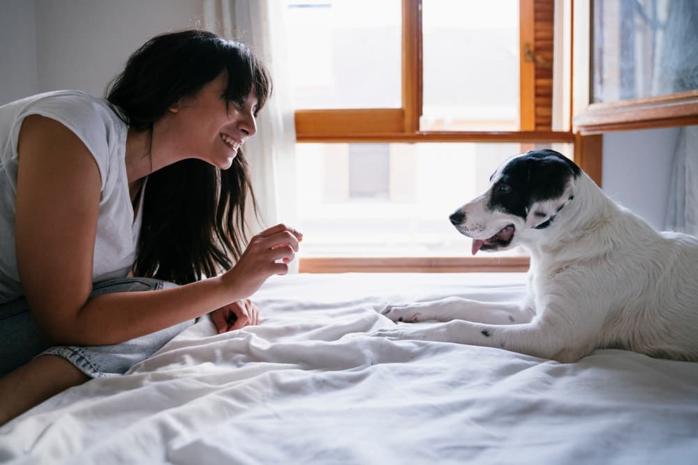 Woman giving dog a melatonin supplement