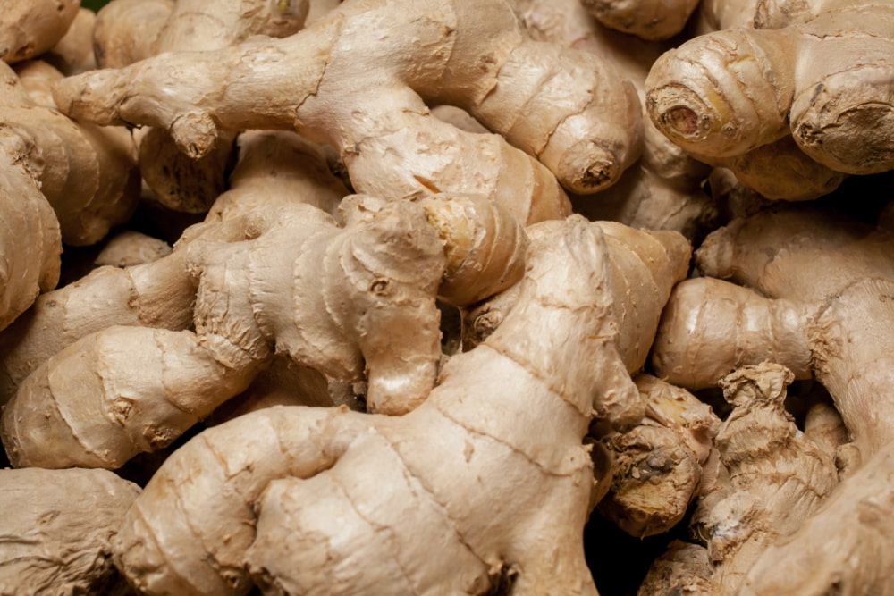 Closeup photo of ginger root